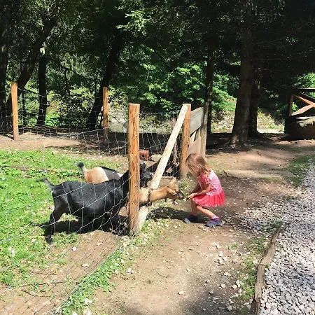 Medvědín 87 Špindlerŭv Mlýn