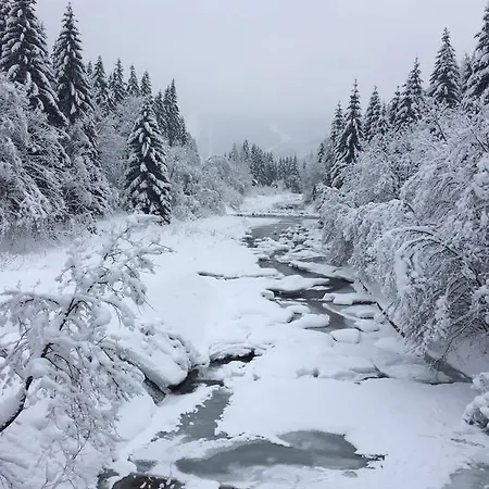 Medvedin 87