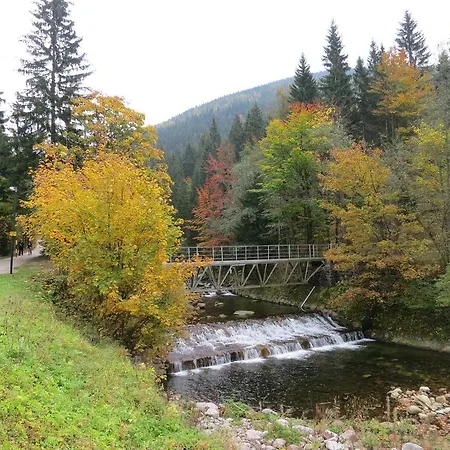 Medvedin 87 *