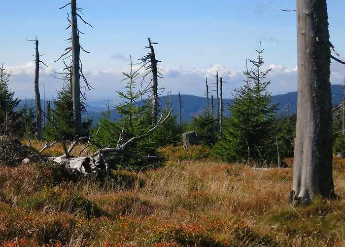 Medvědín 87 Špindlerŭv Mlýn