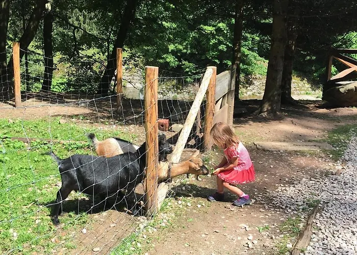 Medvědín 87 Špindlerŭv Mlýn